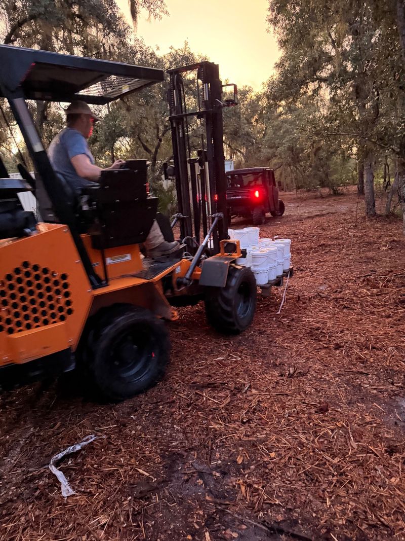 A forklift carrying buckets along a wooded track at dusk.